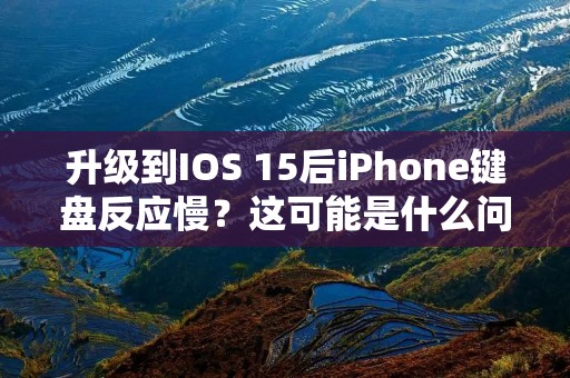 升级到IOS 15后iPhone键盘反应慢?这可能是什么问题以及如何解决