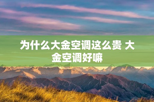 为什么大金空调这么贵 大金空调好嘛