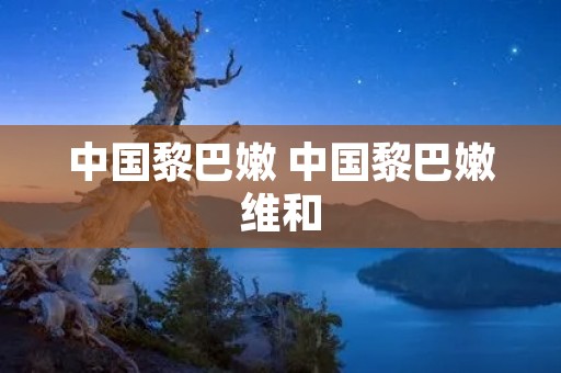 中国黎巴嫩 中国黎巴嫩维和
