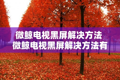 微鲸电视黑屏解决方法 微鲸电视黑屏解决方法有哪些