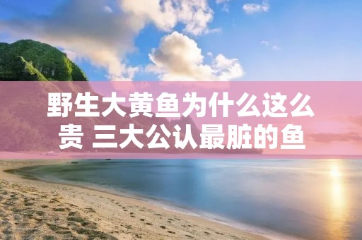 野生大黄鱼为什么这么贵 三大公认最脏的鱼 野生大黄鱼为什么这么贵 三大公认最脏的鱼