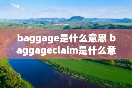 baggage是什么意思 baggageclaim是什么意思中文 baggage是什么意思 baggageclaim是什么意思中文