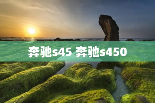 奔驰s45 奔驰s450