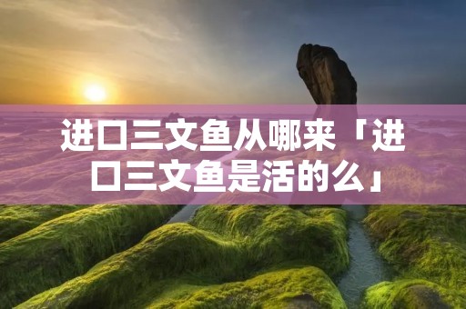 进口三文鱼从哪来「进口三文鱼是活的么」