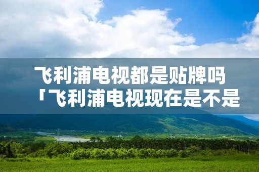 飞利浦电视都是贴牌吗「飞利浦电视现在是不是进口的」