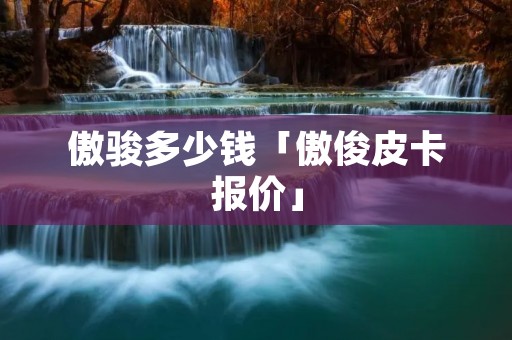 傲骏多少钱「傲俊皮卡报价」