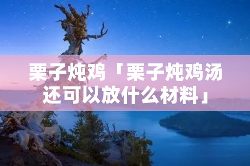 栗子炖鸡「栗子炖鸡汤还可以放什么材料」