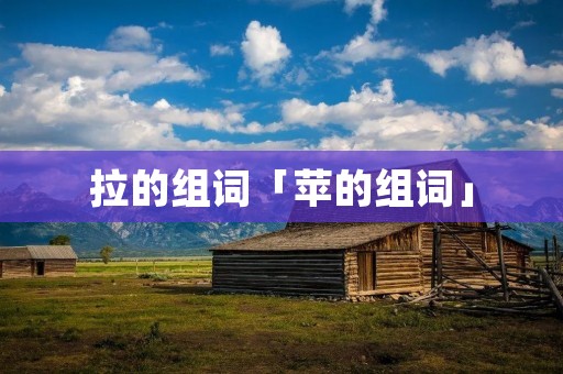 拉的组词「苹的组词」