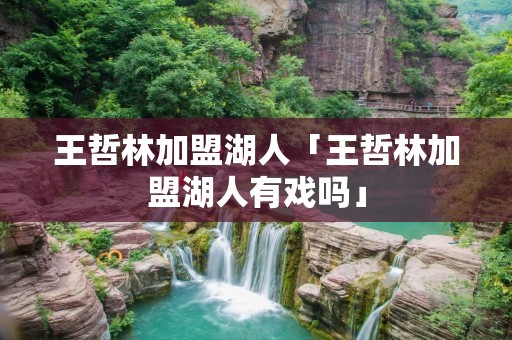 王哲林加盟湖人「王哲林加盟湖人有戏吗」