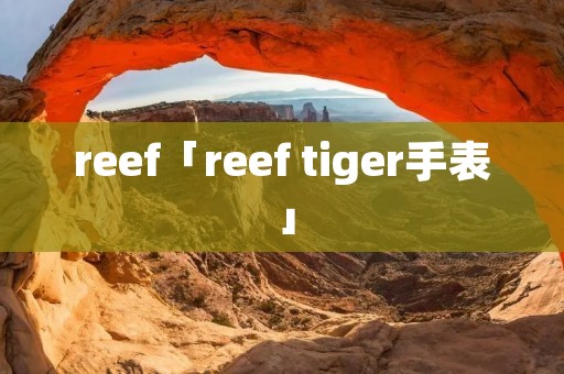 reef「reef tiger手表」