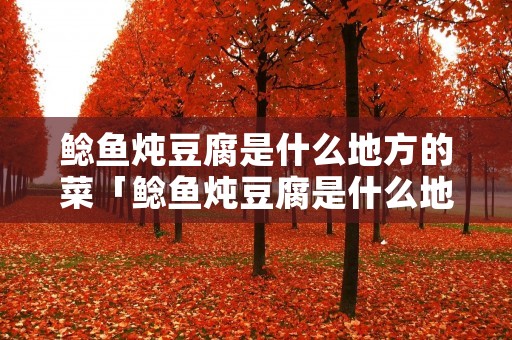 鲶鱼炖豆腐是什么地方的菜「鲶鱼炖豆腐是什么地方的菜品」