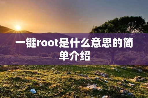 一键root是什么意思的简单介绍