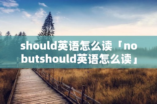 should英语怎么读「nobutshould英语怎么读」