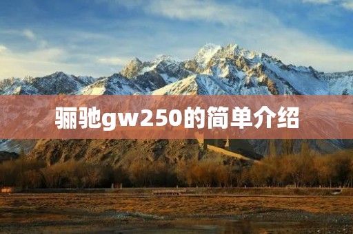 骊驰gw250的简单介绍