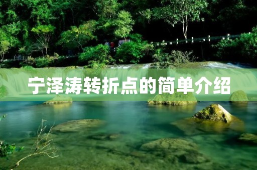 宁泽涛转折点的简单介绍