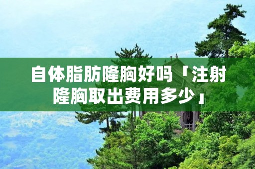 自体脂肪隆胸好吗「注射隆胸取出费用多少」