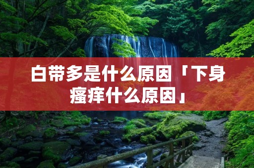 白带多是什么原因「下身瘙痒什么原因」