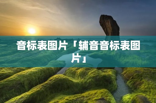 音标表图片「辅音音标表图片」