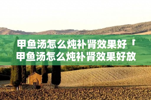甲鱼汤怎么炖补肾效果好「甲鱼汤怎么炖补肾效果好放什么才料」