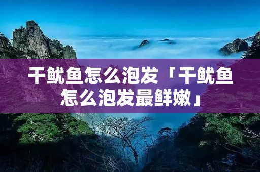 干鱿鱼怎么泡发「干鱿鱼怎么泡发最鲜嫩」