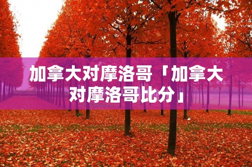 加拿大对摩洛哥「加拿大对摩洛哥比分」