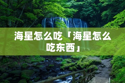 海星怎么吃「海星怎么吃东西」