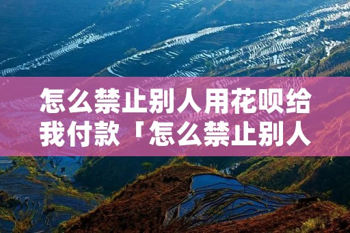 怎么禁止别人用花呗给我付款「怎么禁止别人用花呗给我付款付到自己的账单」