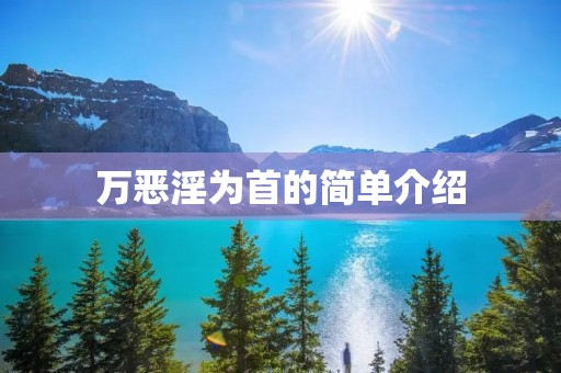 万恶淫为首的简单介绍