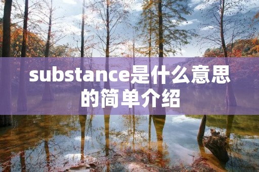 substance是什么意思的简单介绍 substance是什么意思的简单介绍