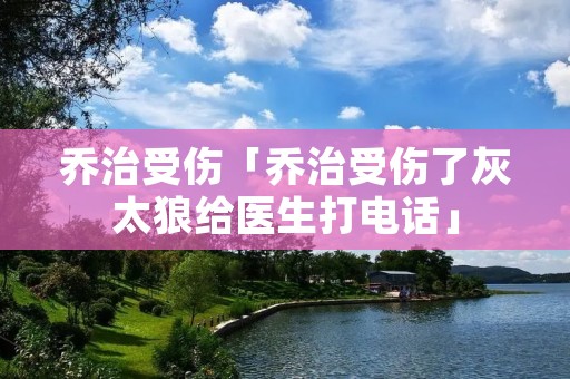 乔治受伤「乔治受伤了灰太狼给医生打电话」