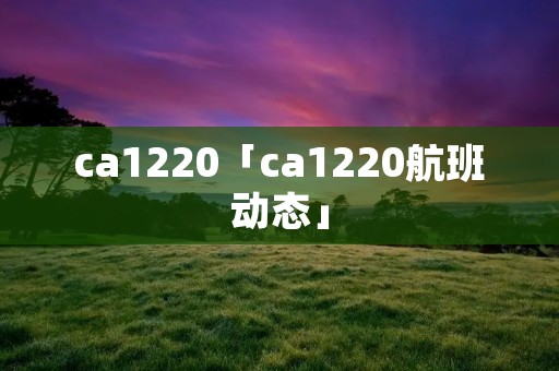 ca1220「ca1220航班动态」