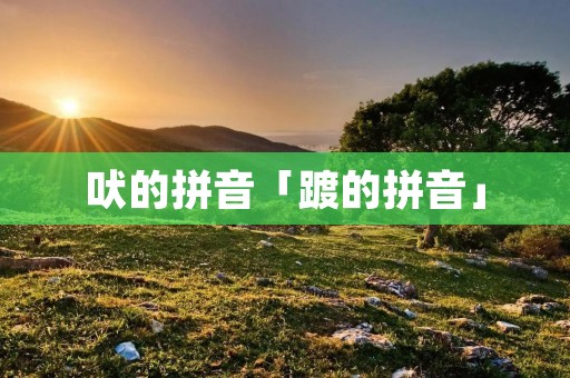 吠的拼音「踱的拼音」