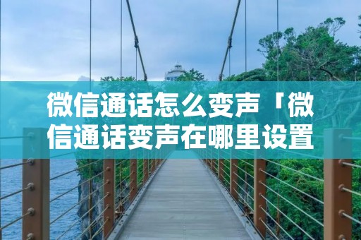 微信通话怎么变声「微信通话变声在哪里设置」