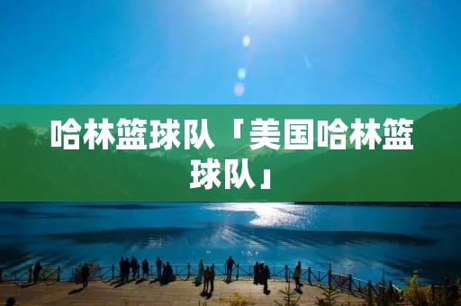 哈林篮球队「美国哈林篮球队」
