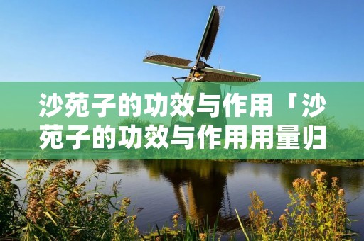 沙苑子的功效与作用「沙苑子的功效与作用用量归经」