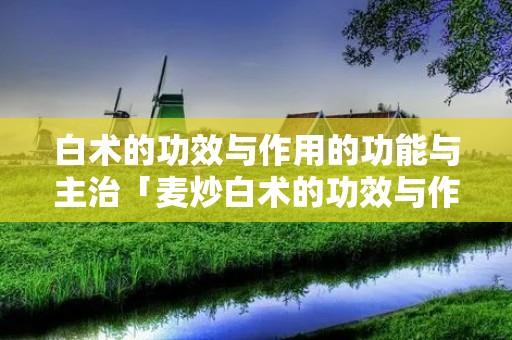 白术的功效与作用的功能与主治「麦炒白术的功效与作用的功能与主治」
