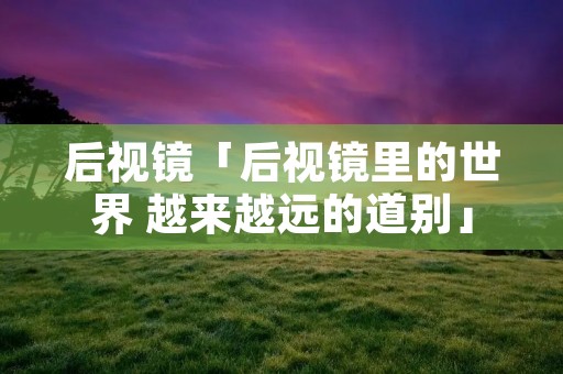 后视镜「后视镜里的世界 越来越远的道别」