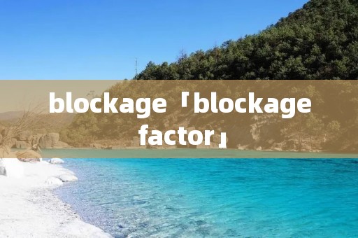 blockage「blockage factor」