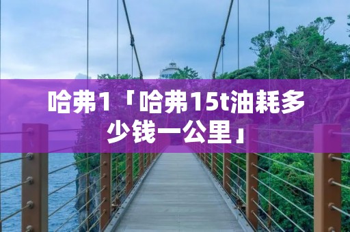哈弗1「哈弗15t油耗多少钱一公里」 哈弗1「哈弗15t油耗多少钱一公里」