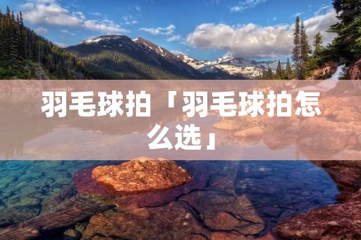 羽毛球拍「羽毛球拍怎么选」