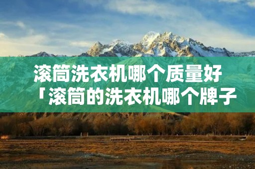 滚筒洗衣机哪个质量好「滚筒的洗衣机哪个牌子好」