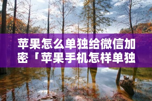 苹果怎么单独给微信加密「苹果手机怎样单独给微信加密码」
