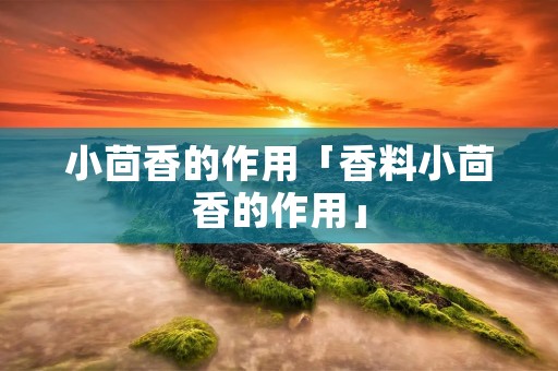 小茴香的作用「香料小茴香的作用」