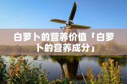 白萝卜的营养价值「白萝卜的营养成分」