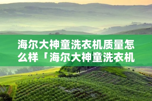 海尔大神童洗衣机质量怎么样「海尔大神童洗衣机使用说明」