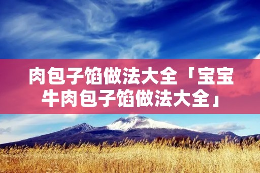 肉包子馅做法大全「宝宝牛肉包子馅做法大全」