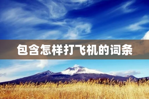 包含怎样打飞机的词条