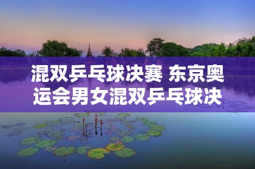 混双乒乓球决赛 东京奥运会男女混双乒乓球决赛