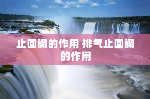 止回阀的作用 排气止回阀的作用