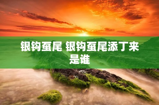 银钩虿尾 银钩虿尾添丁来是谁